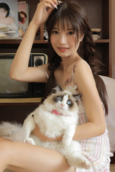 鞠婧祎免费造梦在线观看